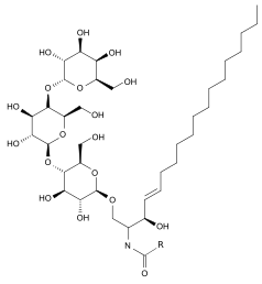 Globotriaosylceramide (Gb3), a substrate of α-GalA, has a terminal D-galactose structurally similar to migalastat.