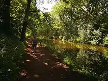 Cyclist on tow path to the left of canal under trees.