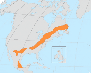 map of North America with a 350km wide band running from south west to north east, inlay with the same band existing in the extreme north west of Scotland