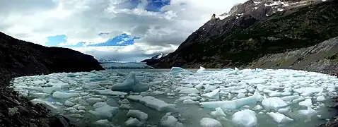 Icebergs calved by the glacier.