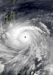 Image 29Pacific typhoon (from Cyclone)