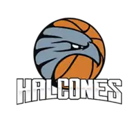 Halcones de Ciudad Obregón logo