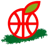 Hapoel Gilboa Galil logo