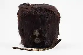 Bearskin hat (Busby) of Kilkenny Fusiliers, 1877-1881