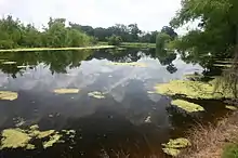 Horseshoe Lake with reflection of clouds.