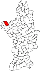 Location in Olt County