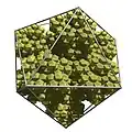 The third iteration of the icosahedron fractal flake.