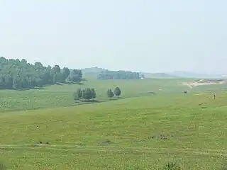 Inner Mongolian grassland