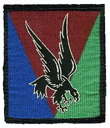 Shoulder Arm Insignia of the 10th Parachute Division of France