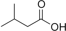 Skeletal formula of 3-methylbutanoic acid