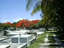 Some newer graves are put in above-ground vaults, similar to the cemeteries in New Orleans, since the space for below-ground burials has become increasingly limited.