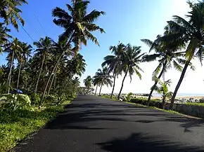 Kollam-Paravur Coastal Road at Pozhikara, Dec 2015.jpg