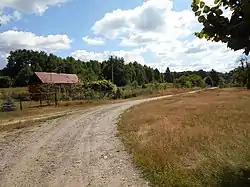 Unpaved road in Krukówka