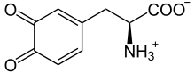 L-dopaquinone