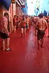 La Tomatina, Spain (2010)