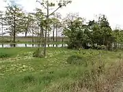 Lake Ira Lalaro floodplain and surrounding area