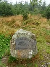 Stone on the summit in summer...