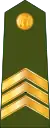 Seržants(Latvian Land Forces)