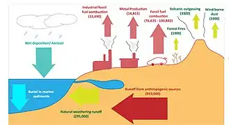 Lead cycle