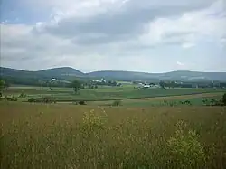 Farmland in Limestone Township