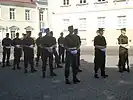 Members of the Honor Guard Company during their training.