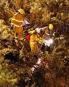 Firefighters wearing coats with high-visibility strips