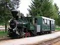 Steam engine of the wood railway