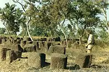 Image 38Megalithic alignments in Senegal. (from History of Senegal)