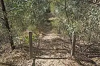 Remains of stairs to Bridge Jumping centre