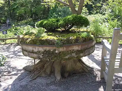 Garden Millstone at Jardins de Métis, Quebec.