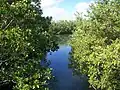 Oleta River