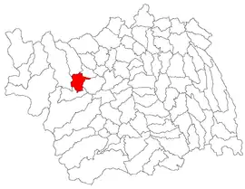 Location in Bacău County