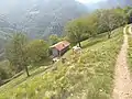 Mount Tavagnone, Salvadori agricultural fund and in the background the village of Bollone