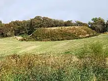 Motte and Bailey castle, Ardwell, by Isles of Killaser, north Chapel Rosan Bay.