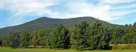 A distant tree-covered mountain with a slight bump on the left side of its summit and gentle slopes. There are trees and grass in front of it.