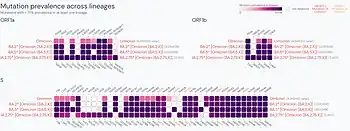 Mutation prevalence across Omicron lineages