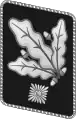 NSKK Gorget patch