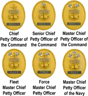 Command Senior Enlisted Leader Identification Badges