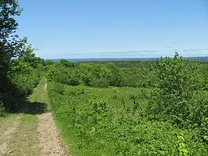 The abandoned upland farm fields of New Yarmouth