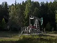 A pumpjack in Nizhnyaya Kama National Park (close to the village of Pospelovo)