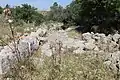 Old road in Bayt Nattif, lined with field stones