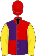 Red and purple (quartered), yellow sleeves, red cap