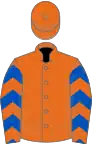 Orange, Royal Blue chevrons on sleeves