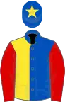 Royal blue and yellow halved, red sleeves, royal blue cap, yellow star