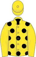 Yellow, black spots, yellow sleeves and cap