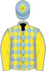 Yellow, light blue diamonds, light blue seams on sleeves, light blue cap, yellow diamond