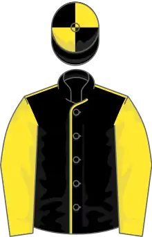 Black, yellow seams, yellow sleeves, quartered cap