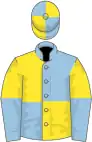 Light blue and yellow (quartered), yellow and light blue halved sleeves