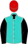 Turquoise, white seams, black sleeves, red cap