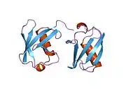 1tbe: STRUCTURE OF TETRAUBIQUITIN SHOWS HOW MULTIUBIQUITIN CHAINS CAN BE FORMED